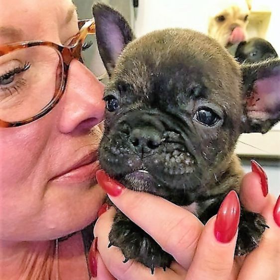 Puppies 'N Love & Animal Kingdom Animal Health Director Michelle L. cuddles a baby French Bulldog