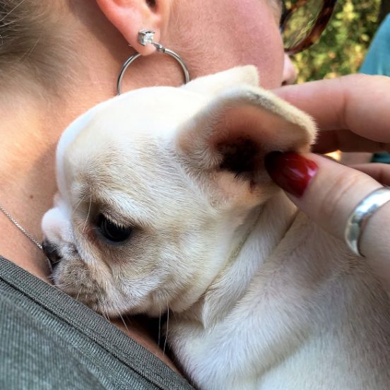 Michelle L. snuggles with baby Frenchie