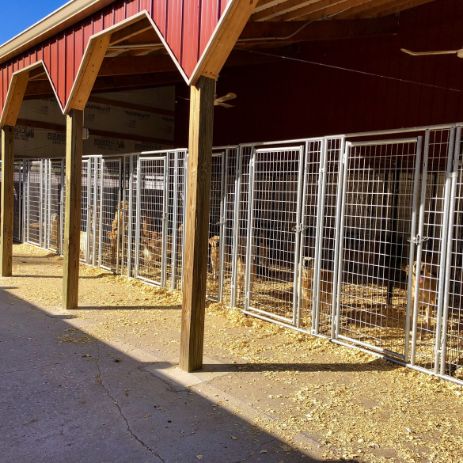 Outdoor Kennels