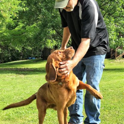 Vicki\'s Family Playing With Dogs