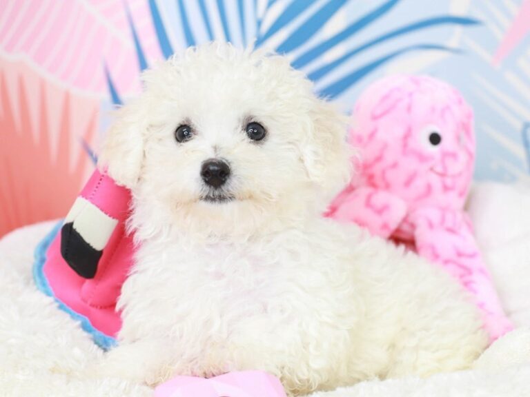 Homes For Life- Stella