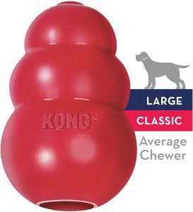kong dog chewing toy