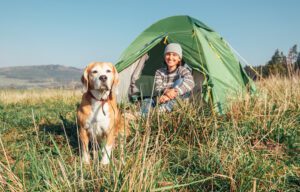 Woman with her pet beagle dog rest in camping tent