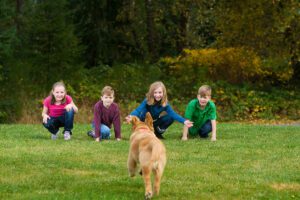 Children call the dog to them