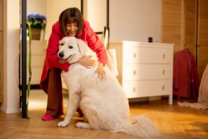Dog meets its owner at the doorway of living room at home, huggnig together. Concept of a happy homecoming when your pets are waiting for you