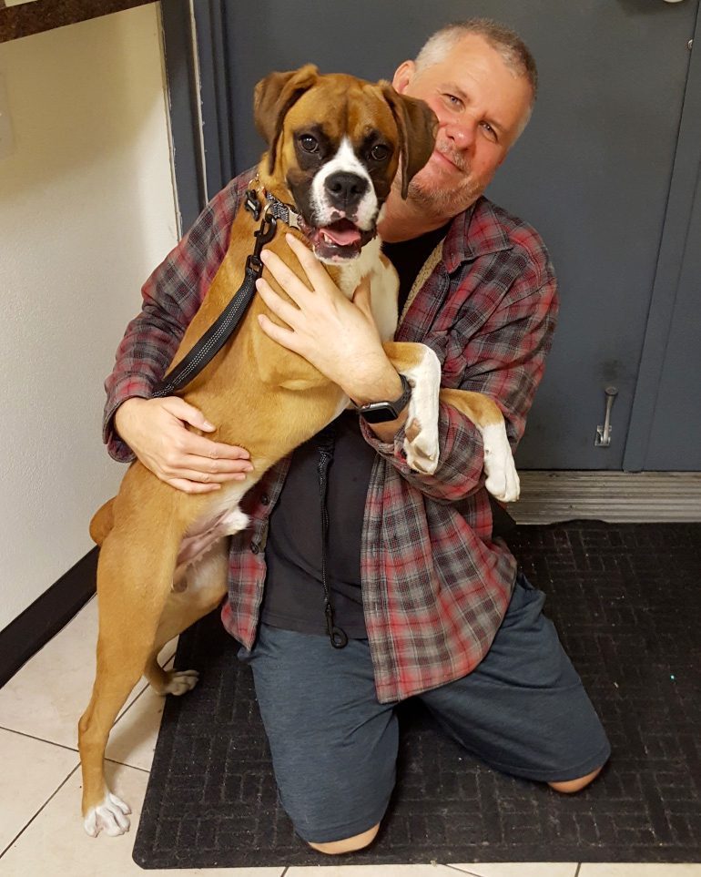 Boxer hugs!