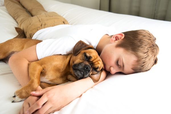 A boy sleeping with his dog on a bed.