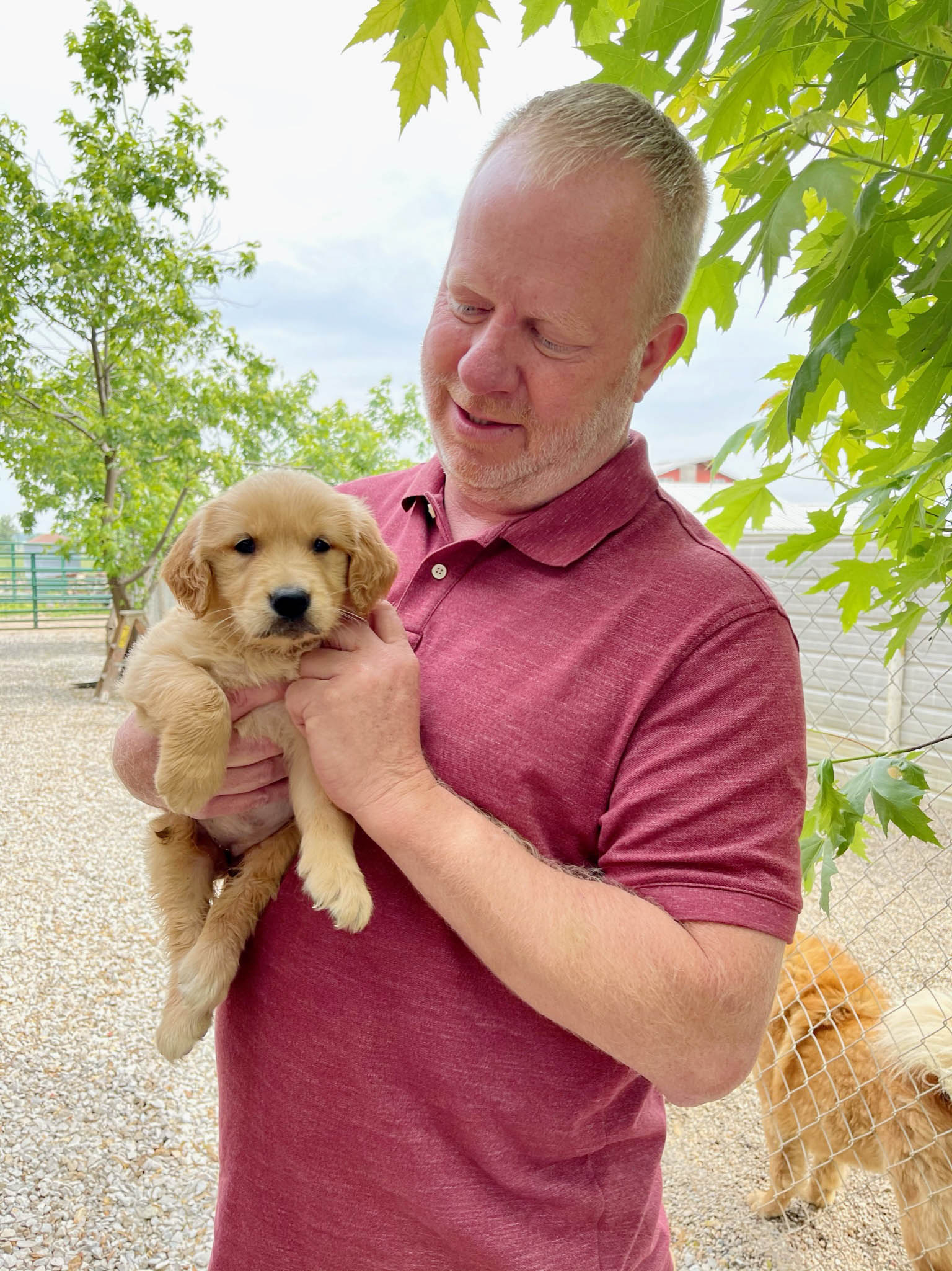 Frank holding a golden retriever puppy