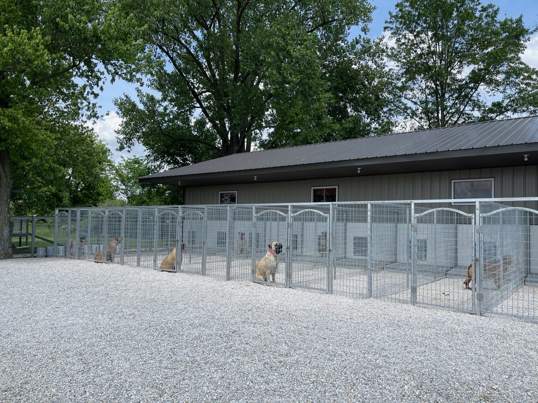 Outdoor portion of the kennels