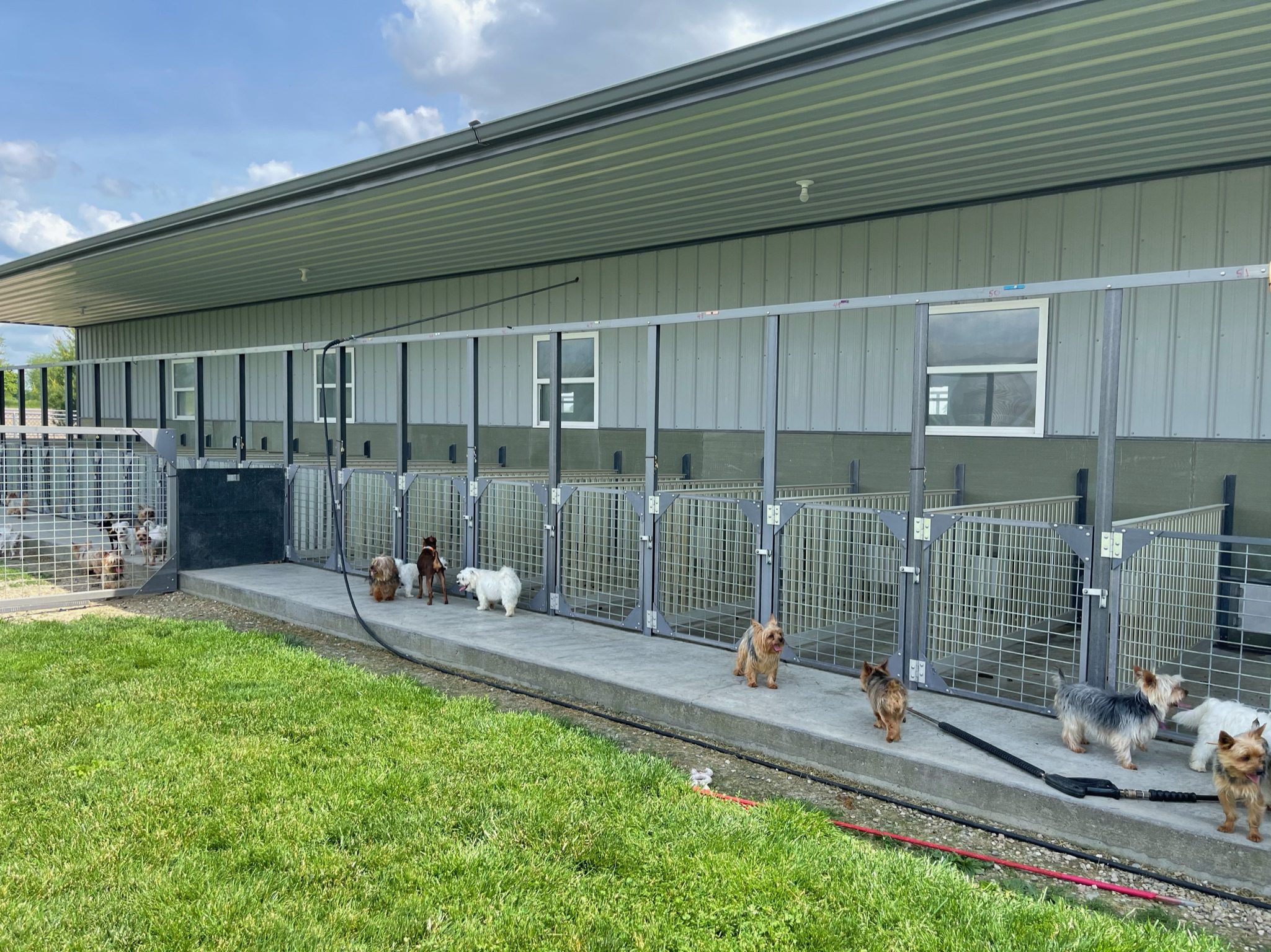 Outside view of the kennels