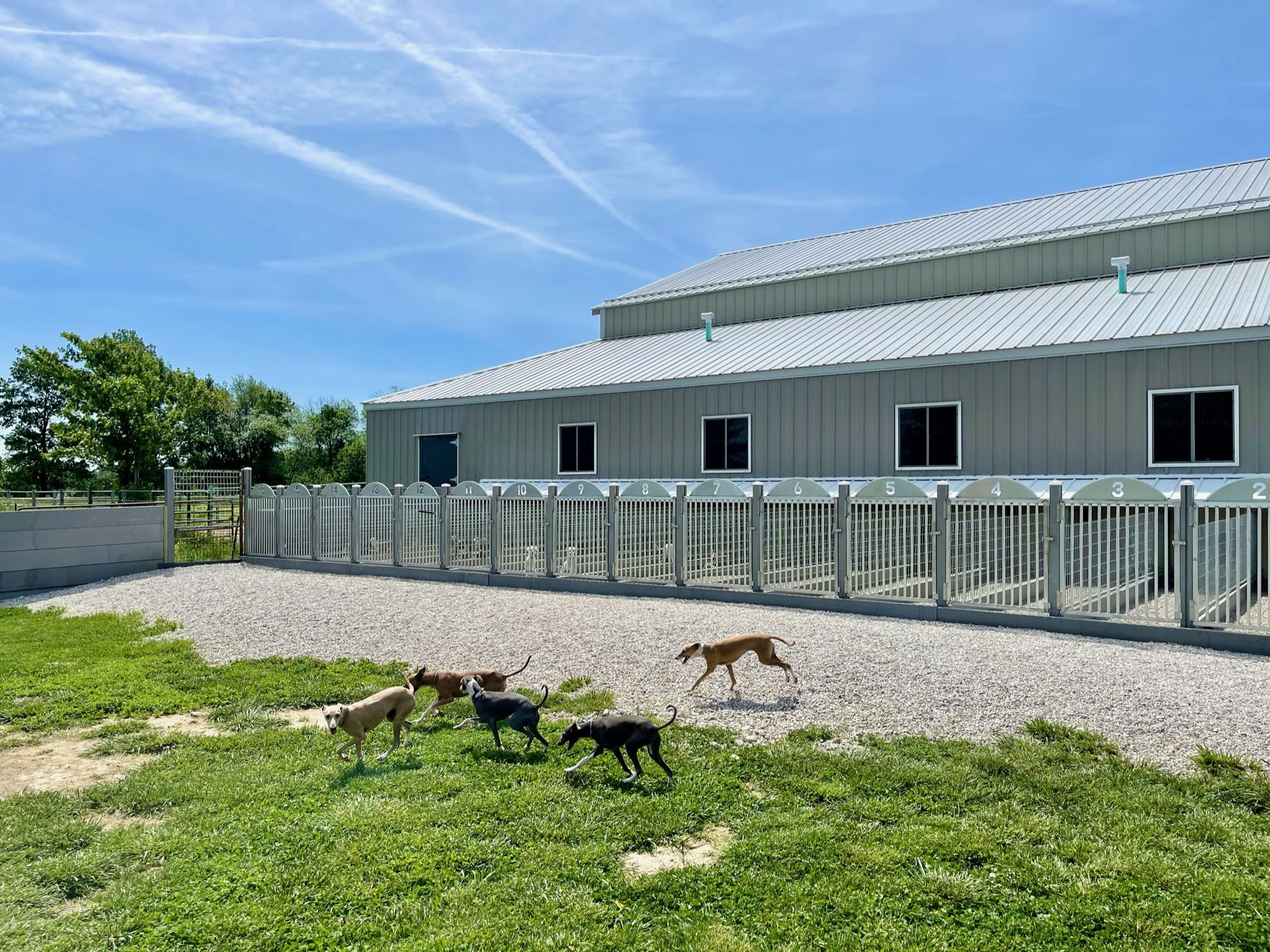 An exterior shot of the kennels