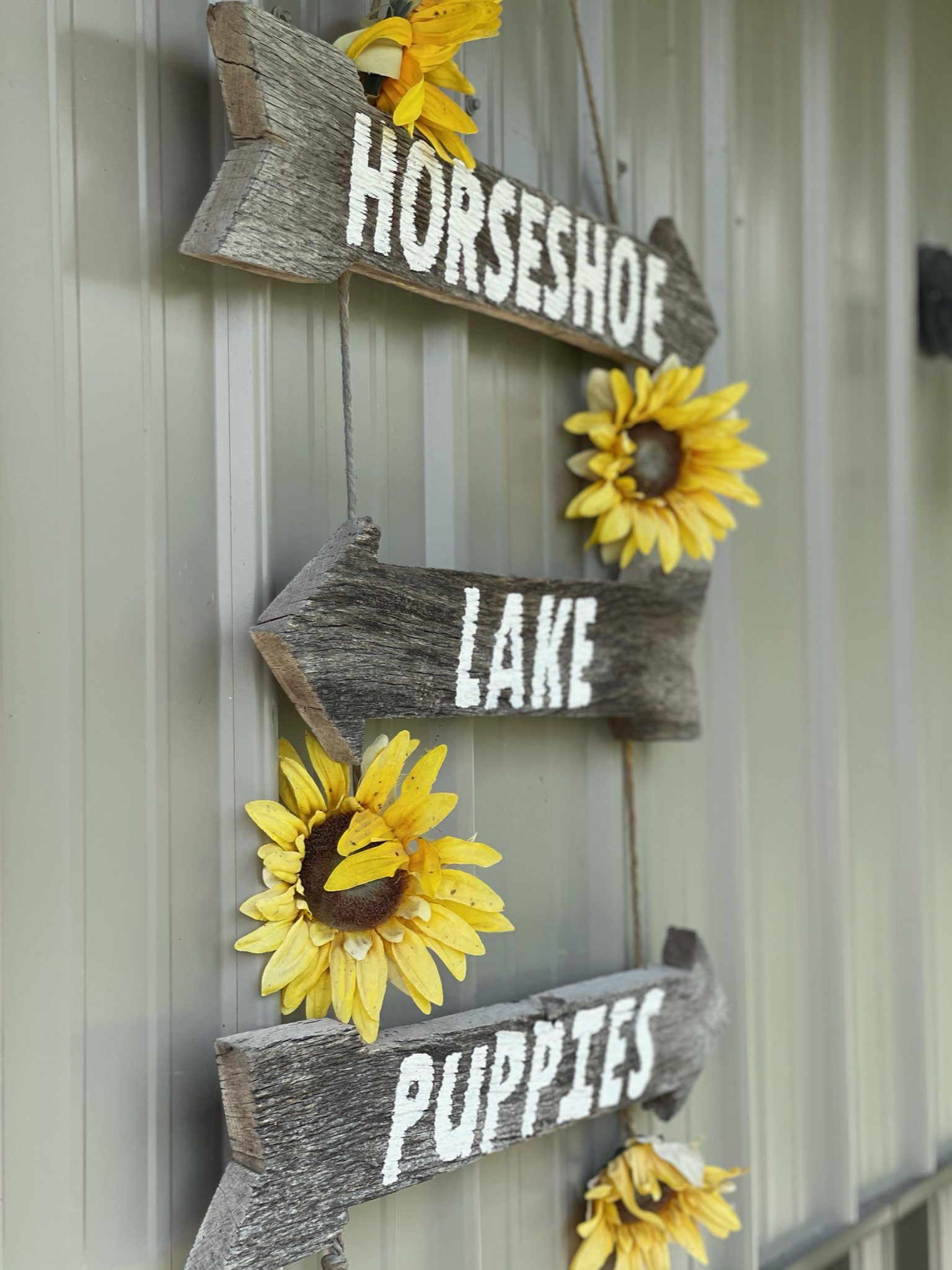 A sign for the puppies of Horseshe Lake