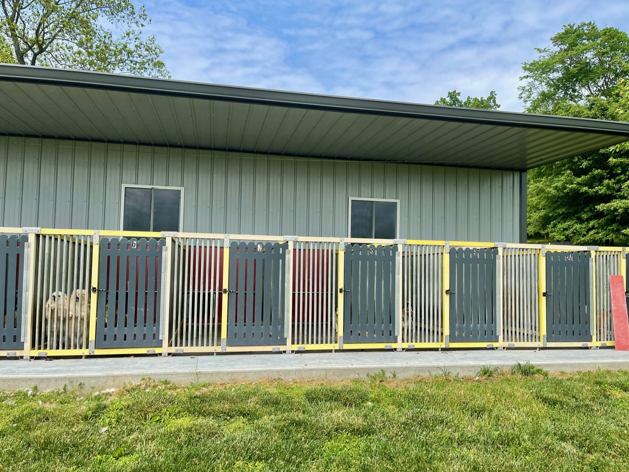 Outdoor portion of kennels