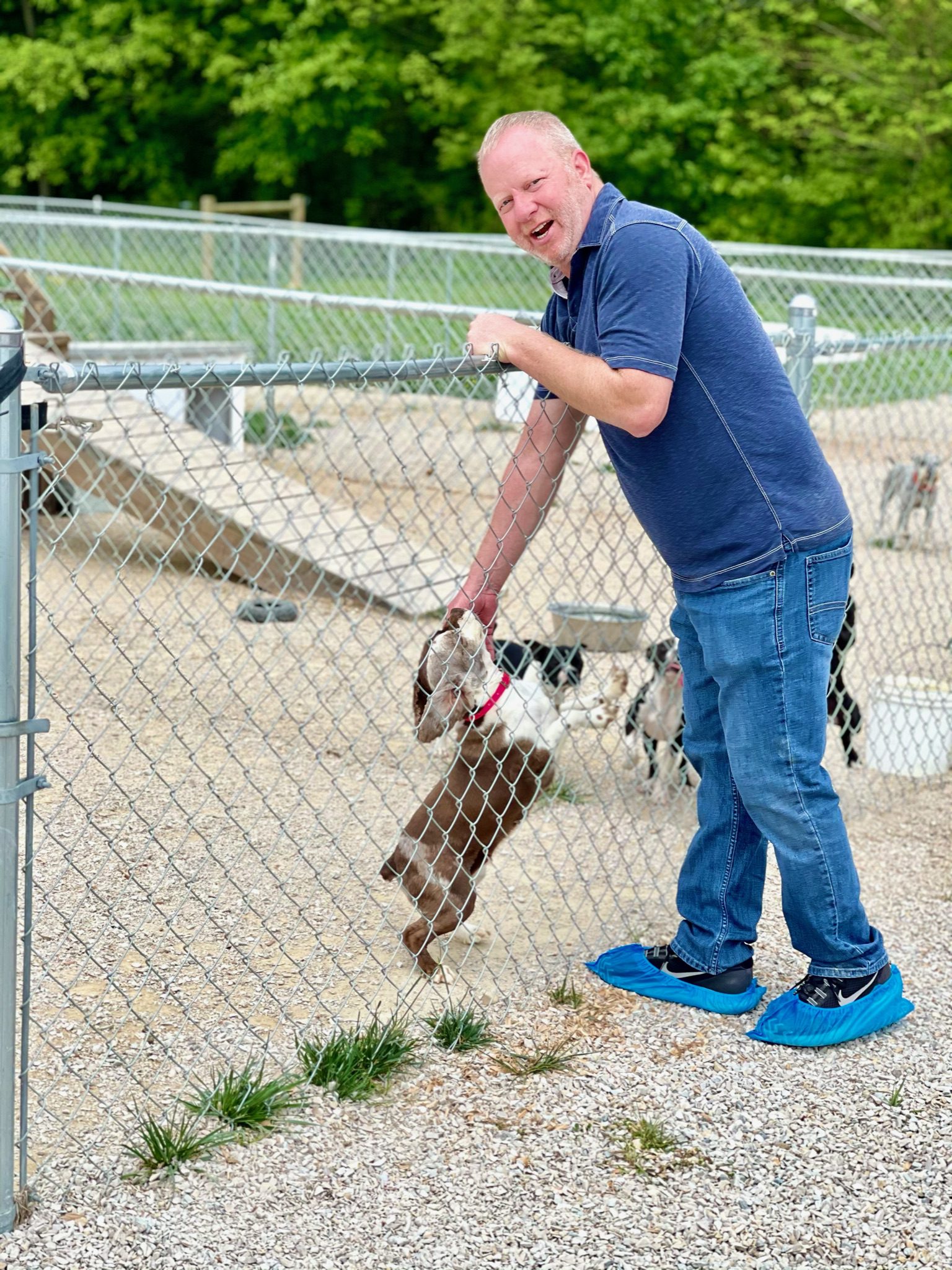 CEO and owner saying hello a boston terrier