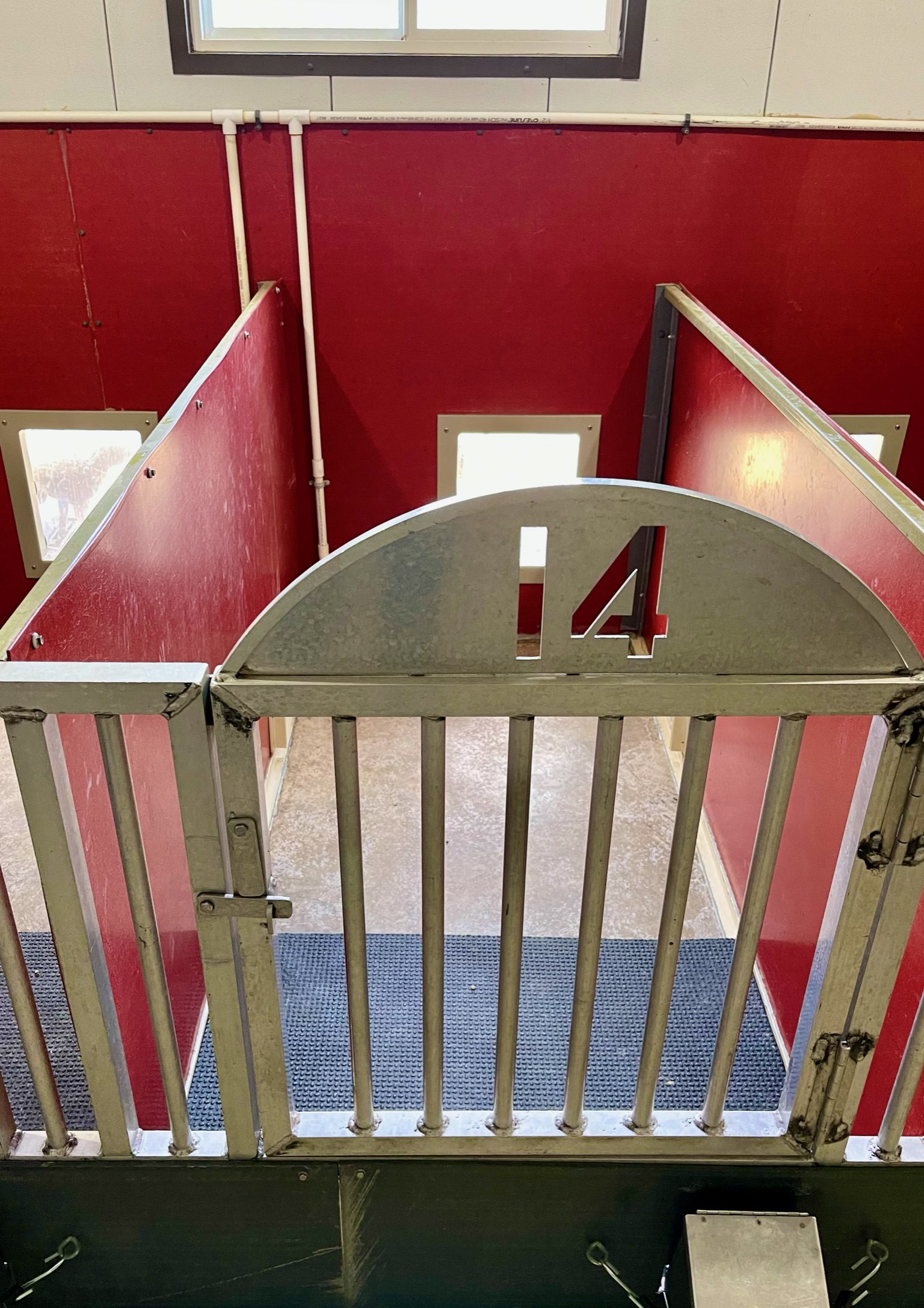 One of the indoor kennels