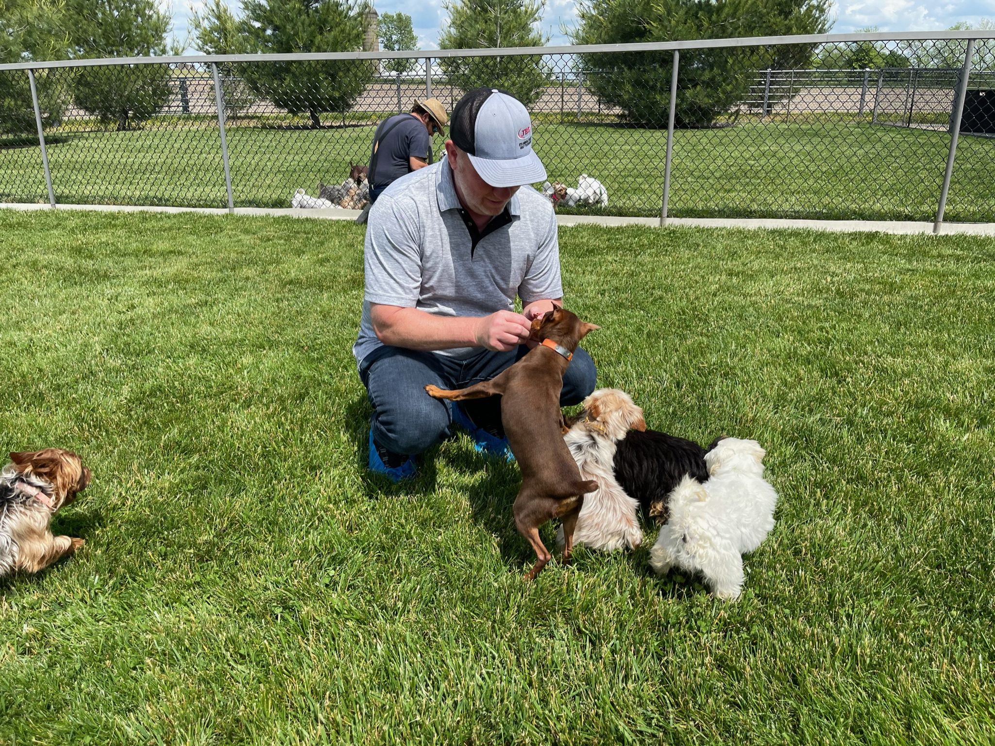 Frank greets some of the adult dogs