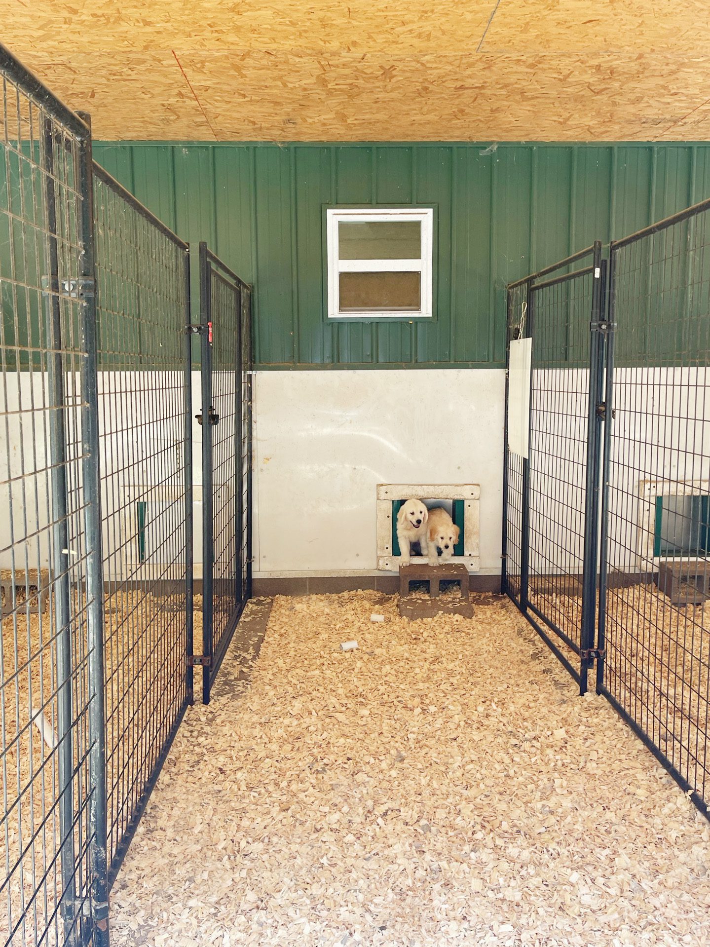 Exterior of one of the kennels