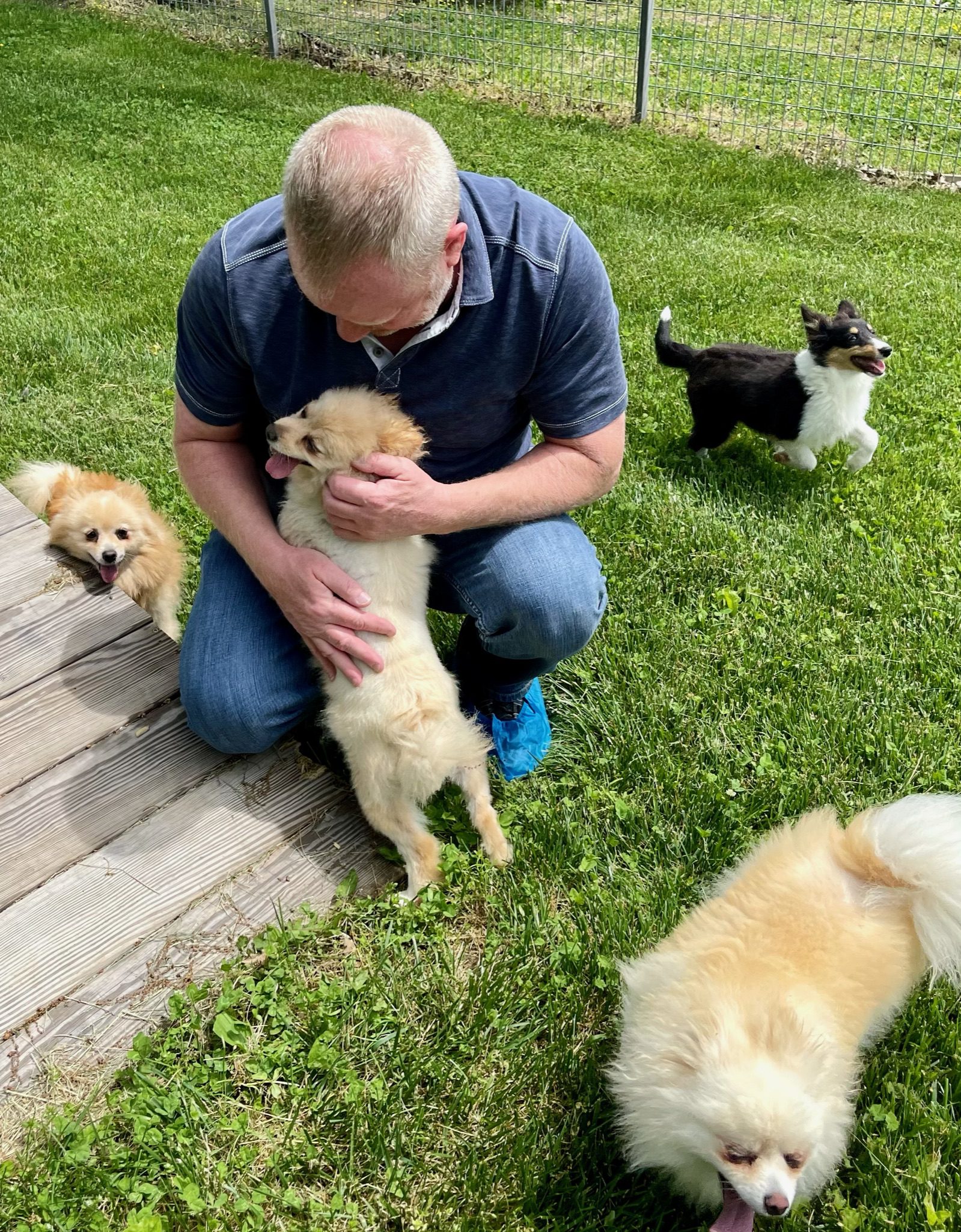 Owner and CEO Frank Mineo cuddling with the adult dogs