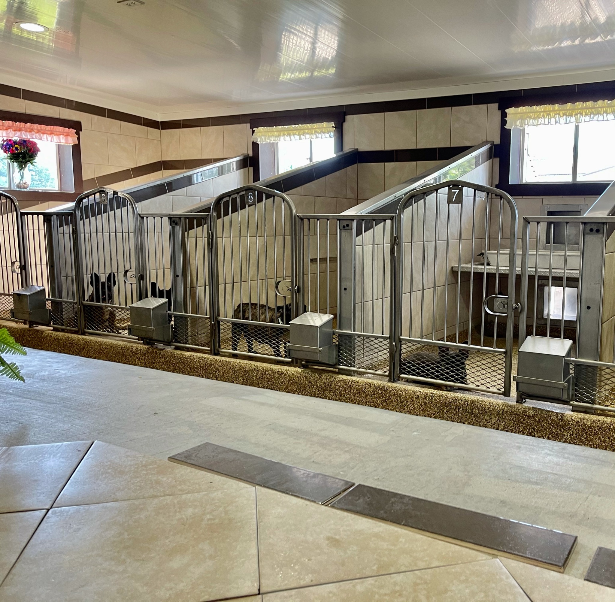 The interior portion of the kennels