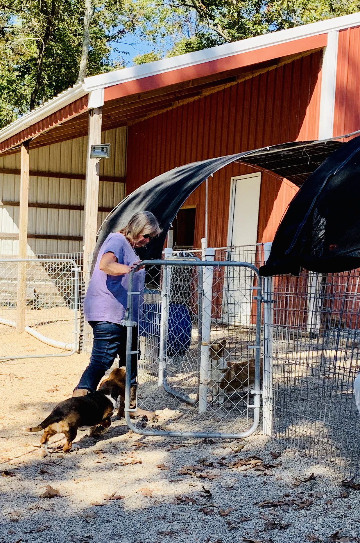 Nancy and one of her adult dogs