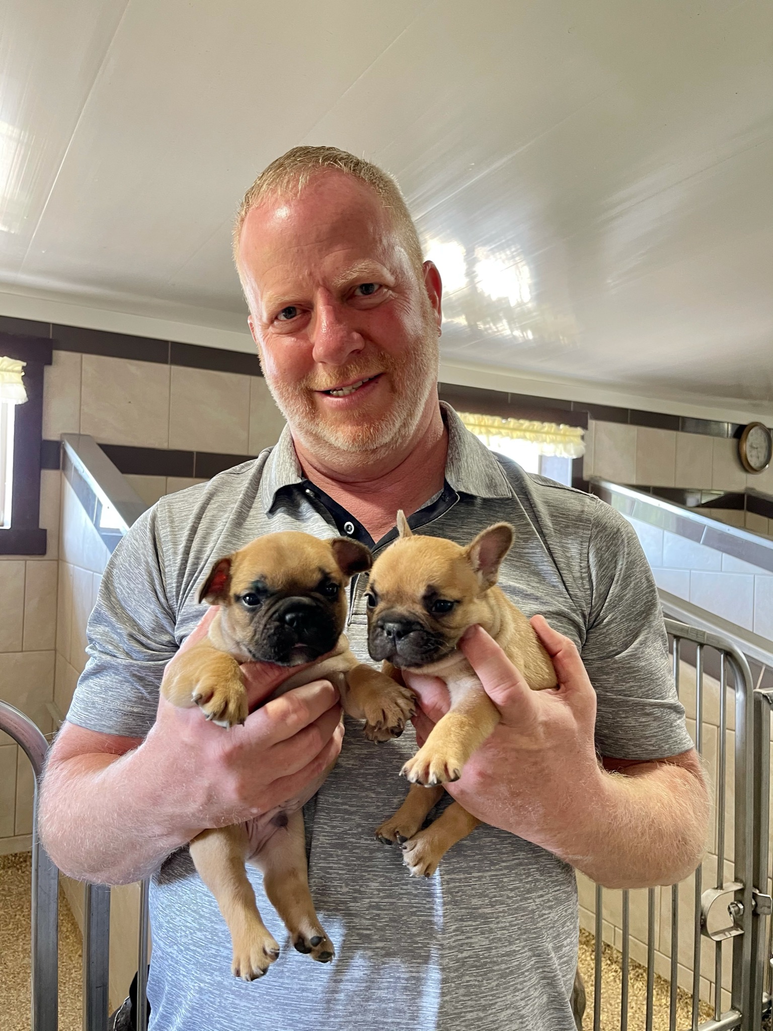 Our CEO, Frank Mineo, holding some French Bulldog puppies