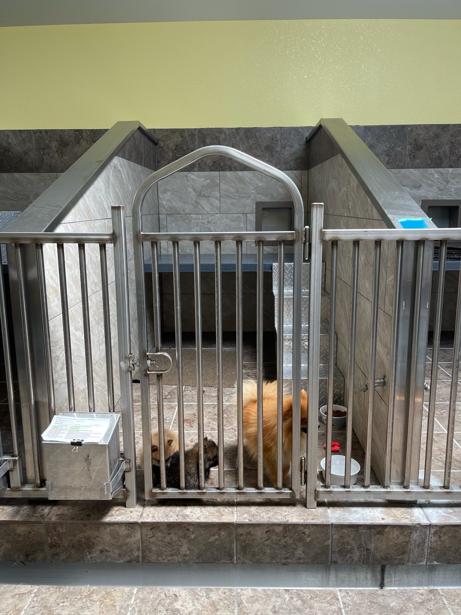 A picture of the interior of the kennels