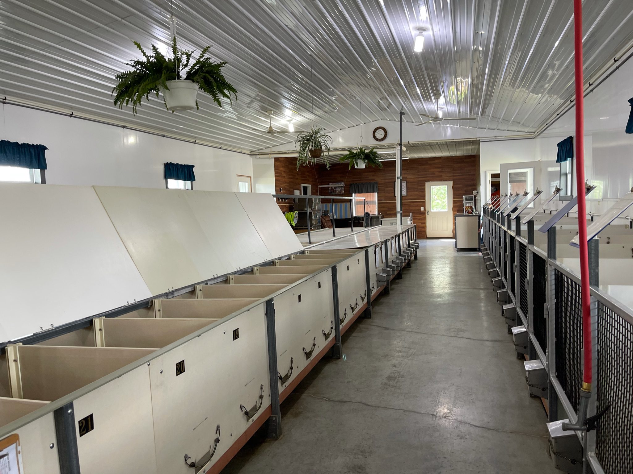 Indoor view of the kennels