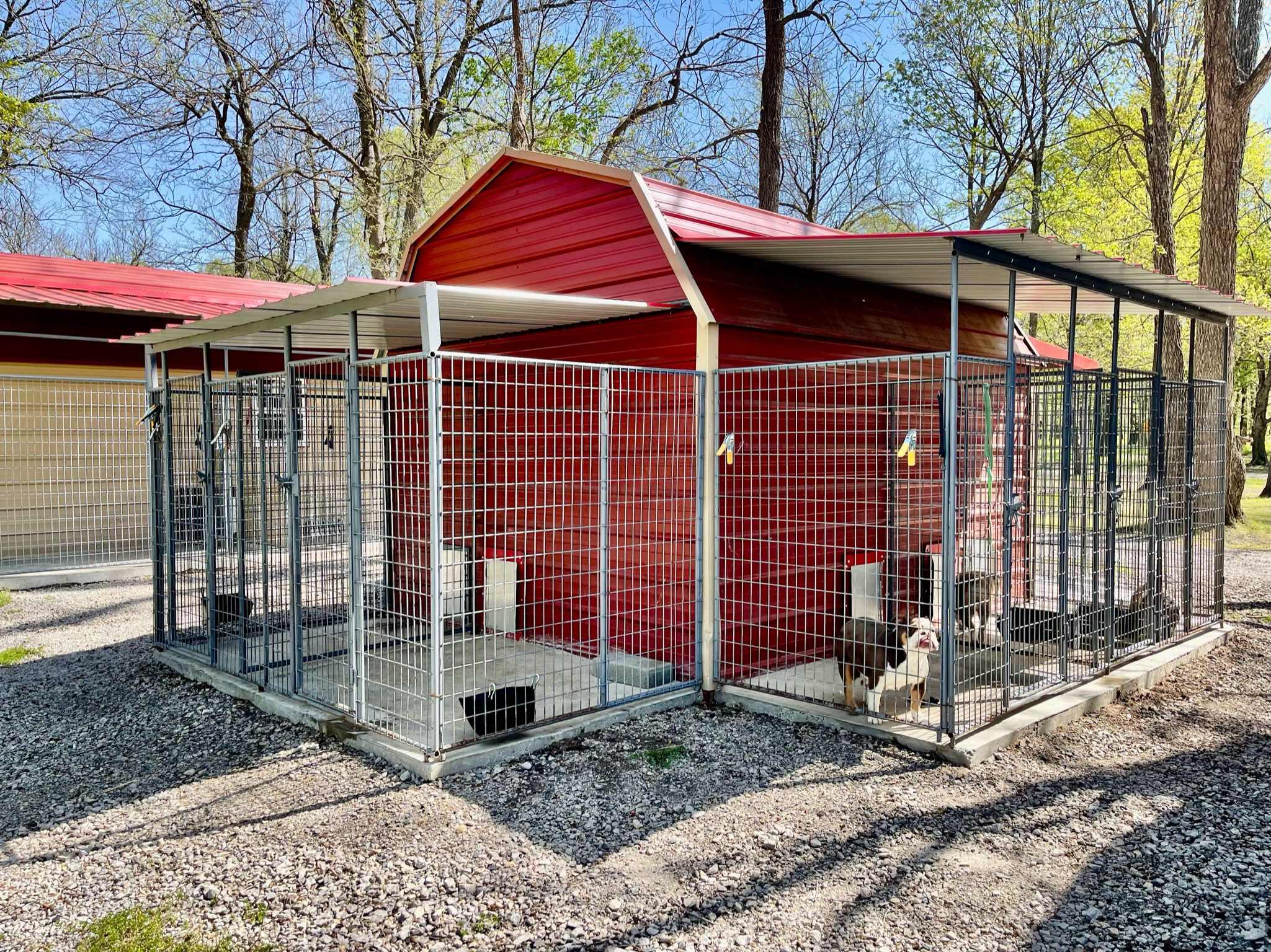 These kennels have doggy door access