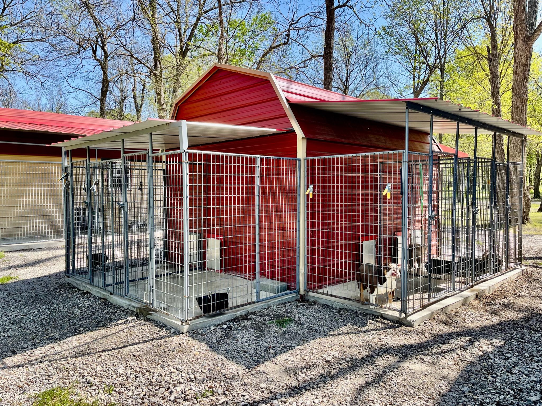 These kennels have doggy door access