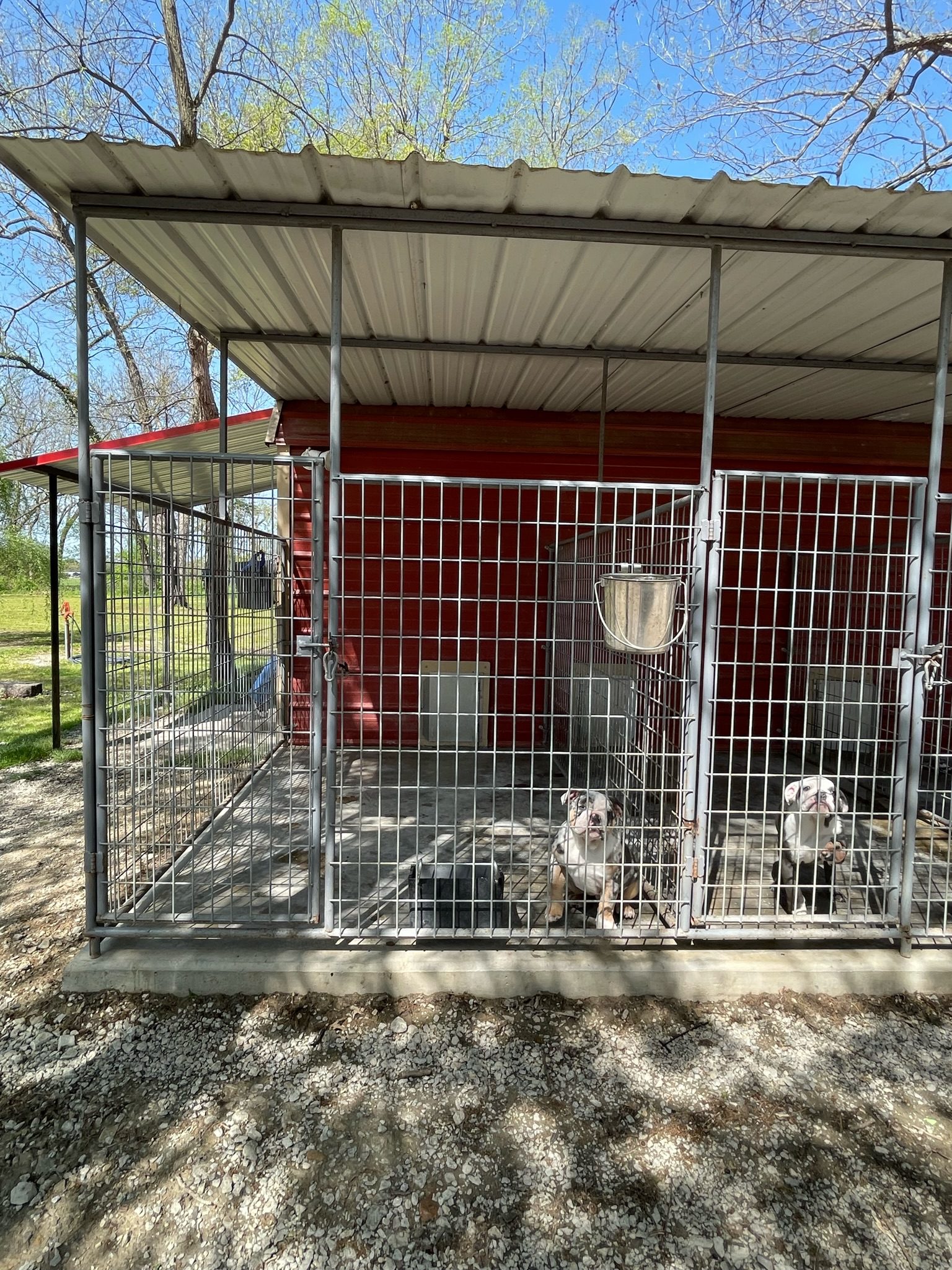 Closeup of exterior portion of kennels