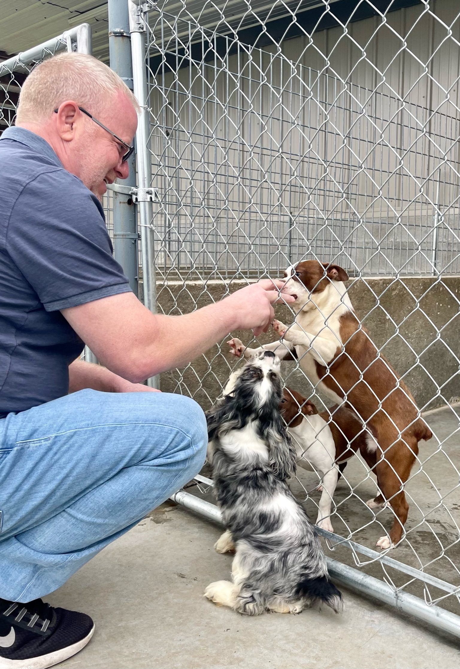 CEO Frank Mineo says hello to Eddie\'s dogs