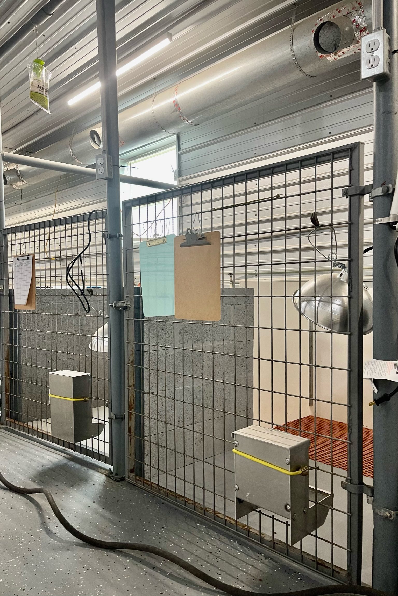 A look at the interior portion of Eddie\'s kennels