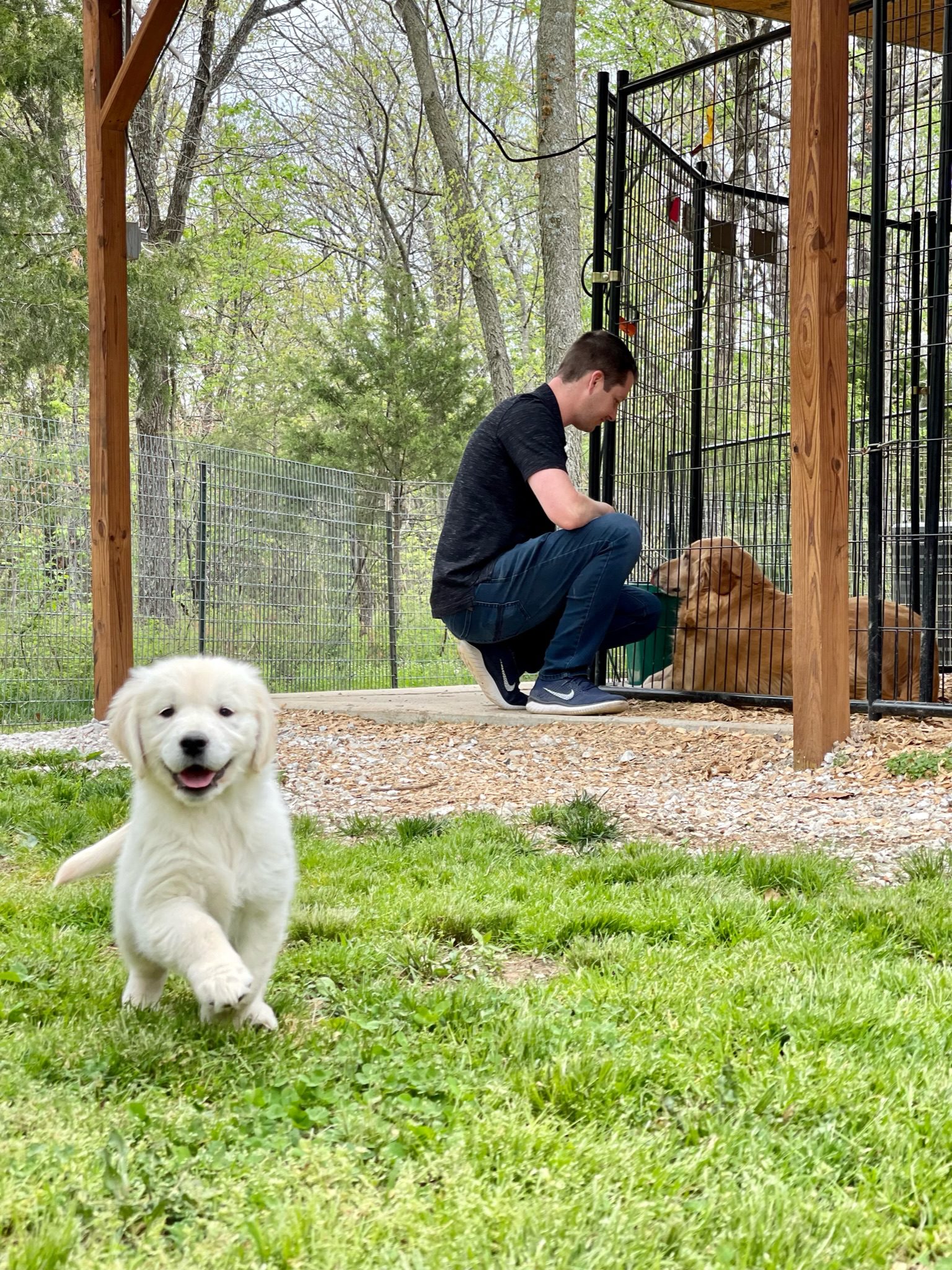 District Manager Jason Mineo says hello to one of the adult dogs