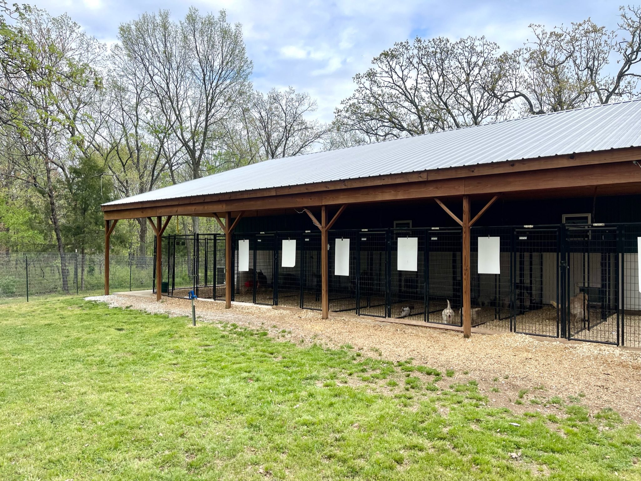 Exterior view of Danny\'s kennels