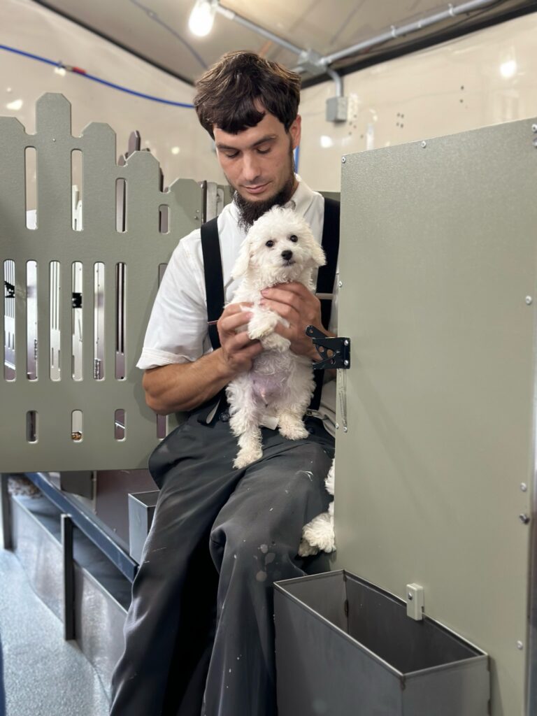 Amish man with beard and overalls holds an adult Maltese dog