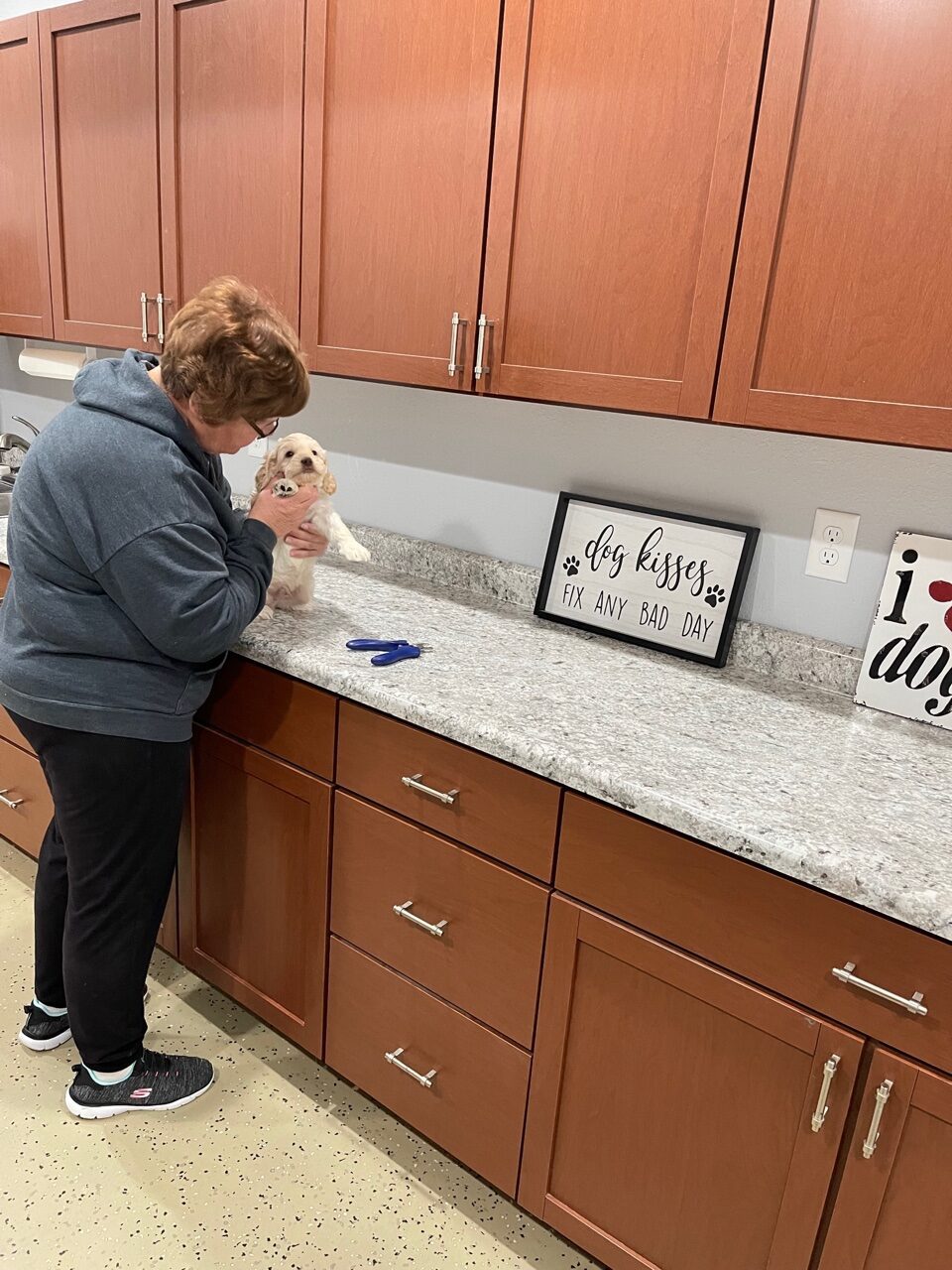 One of Curt\'s puppies getting his nails trimmed