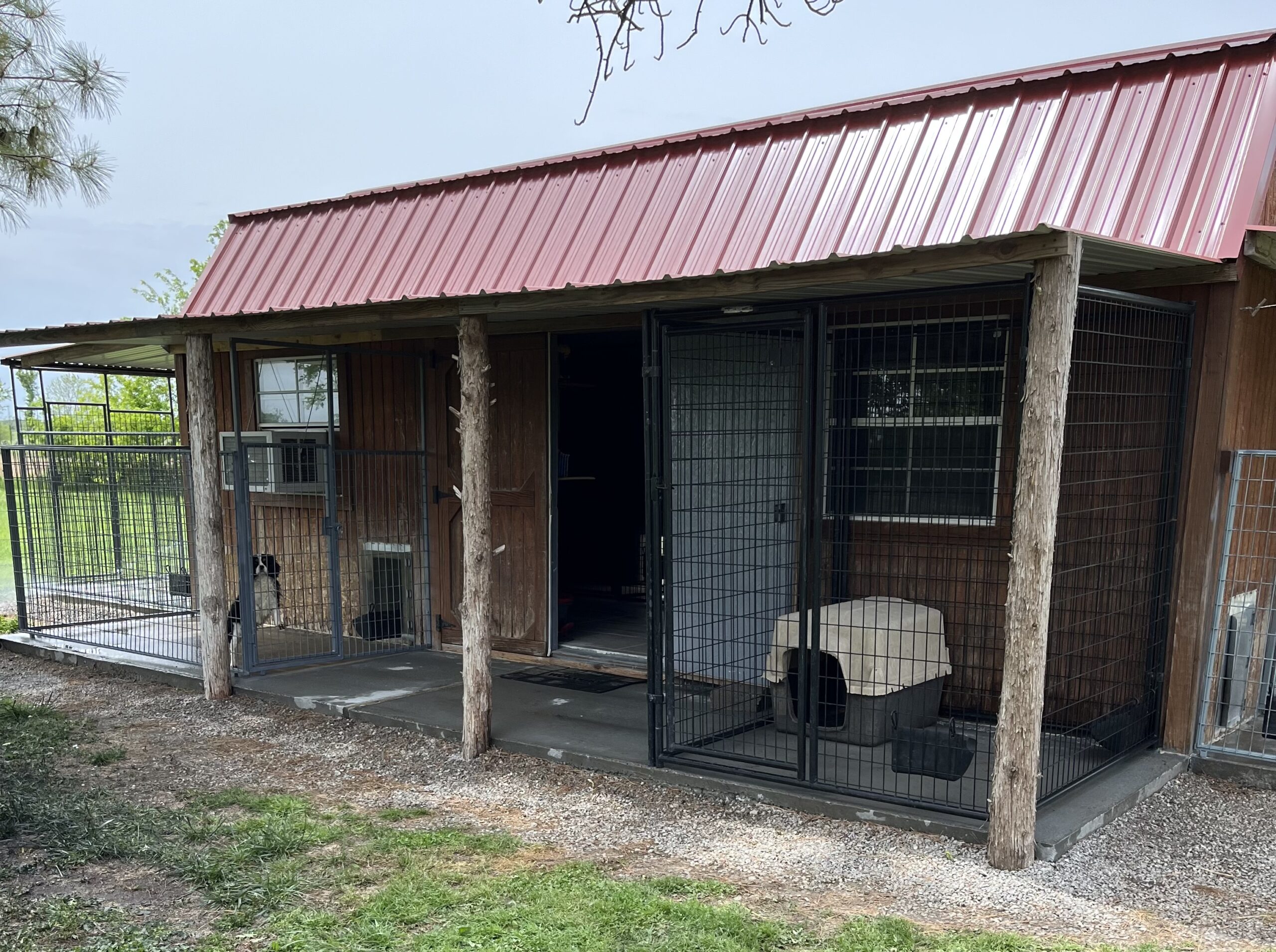 This is where the puppies are raised