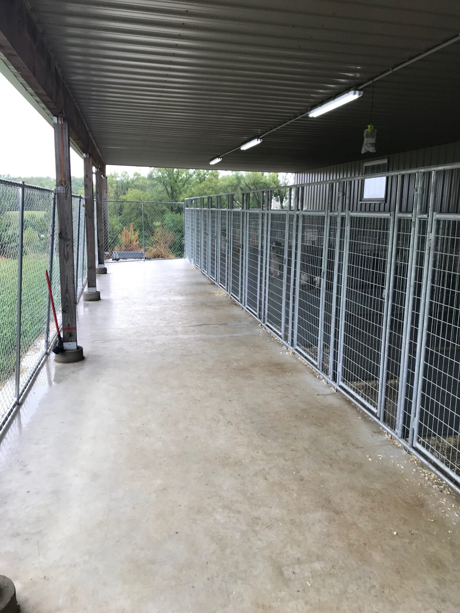 Interior shot of Curt\'s kennels