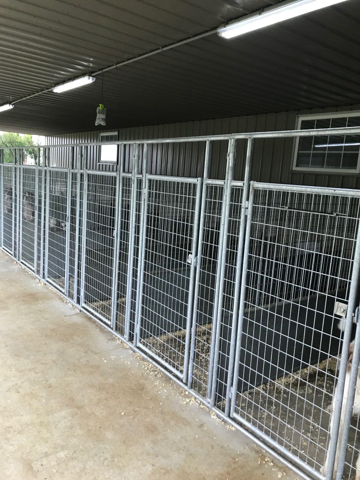 Curt\'s spacious kennels