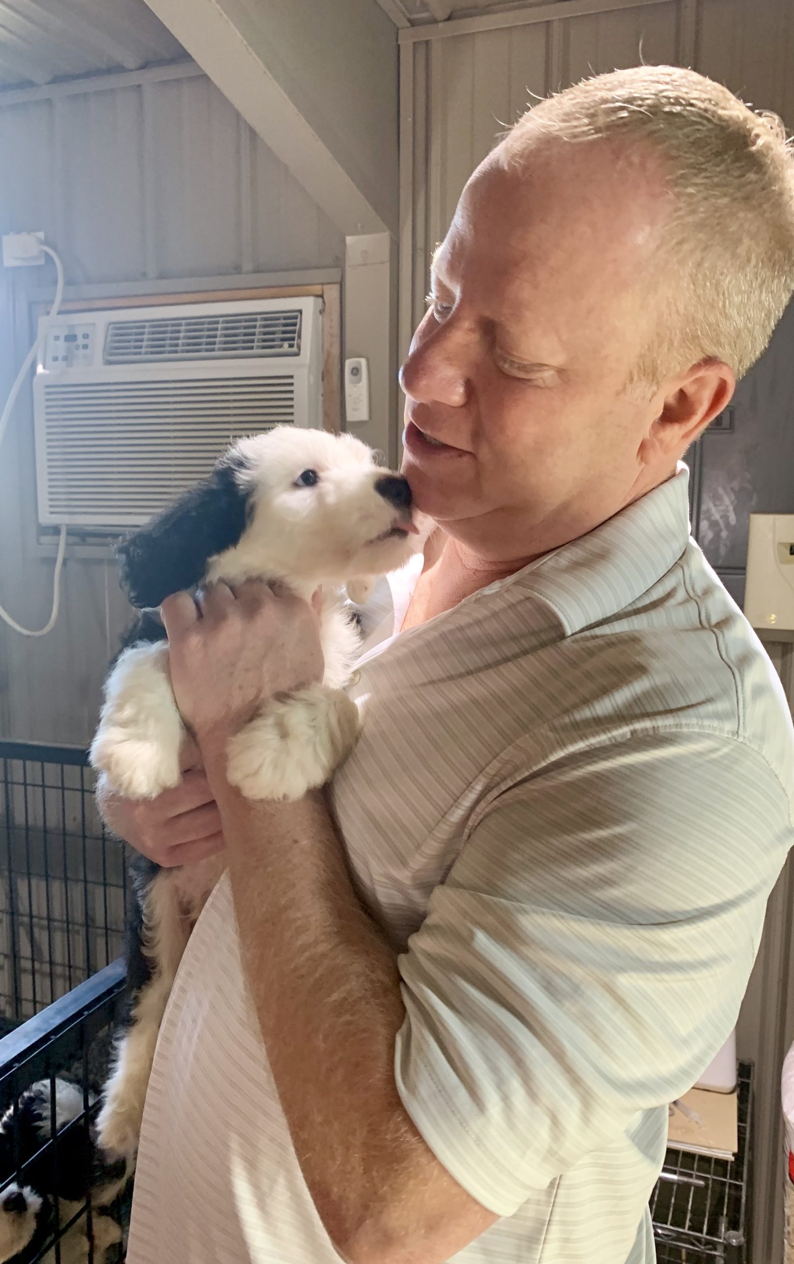 Frank Mineo Jr holds one of Megan's puppies