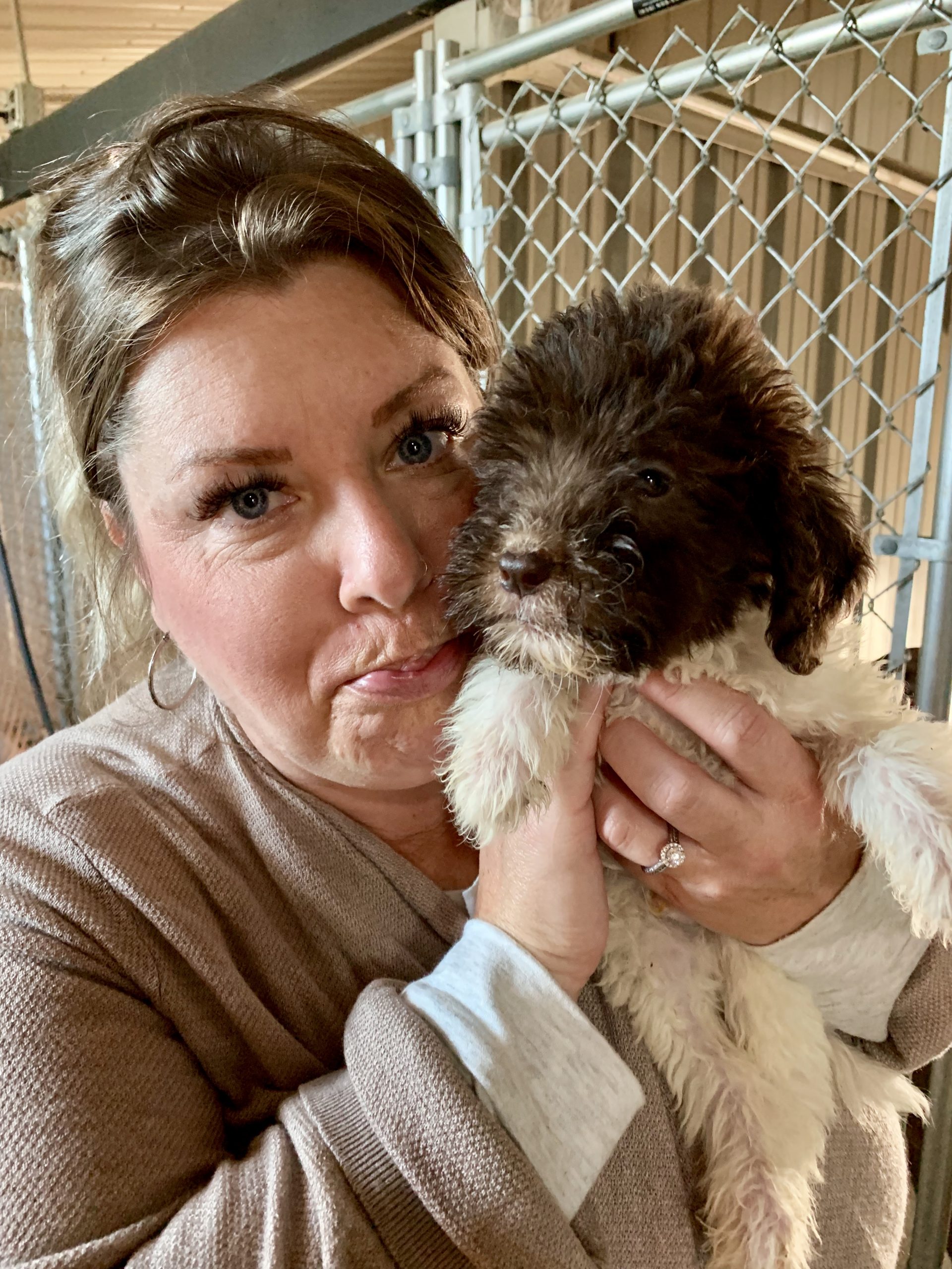 CPI employee holding one of Megan's puppies