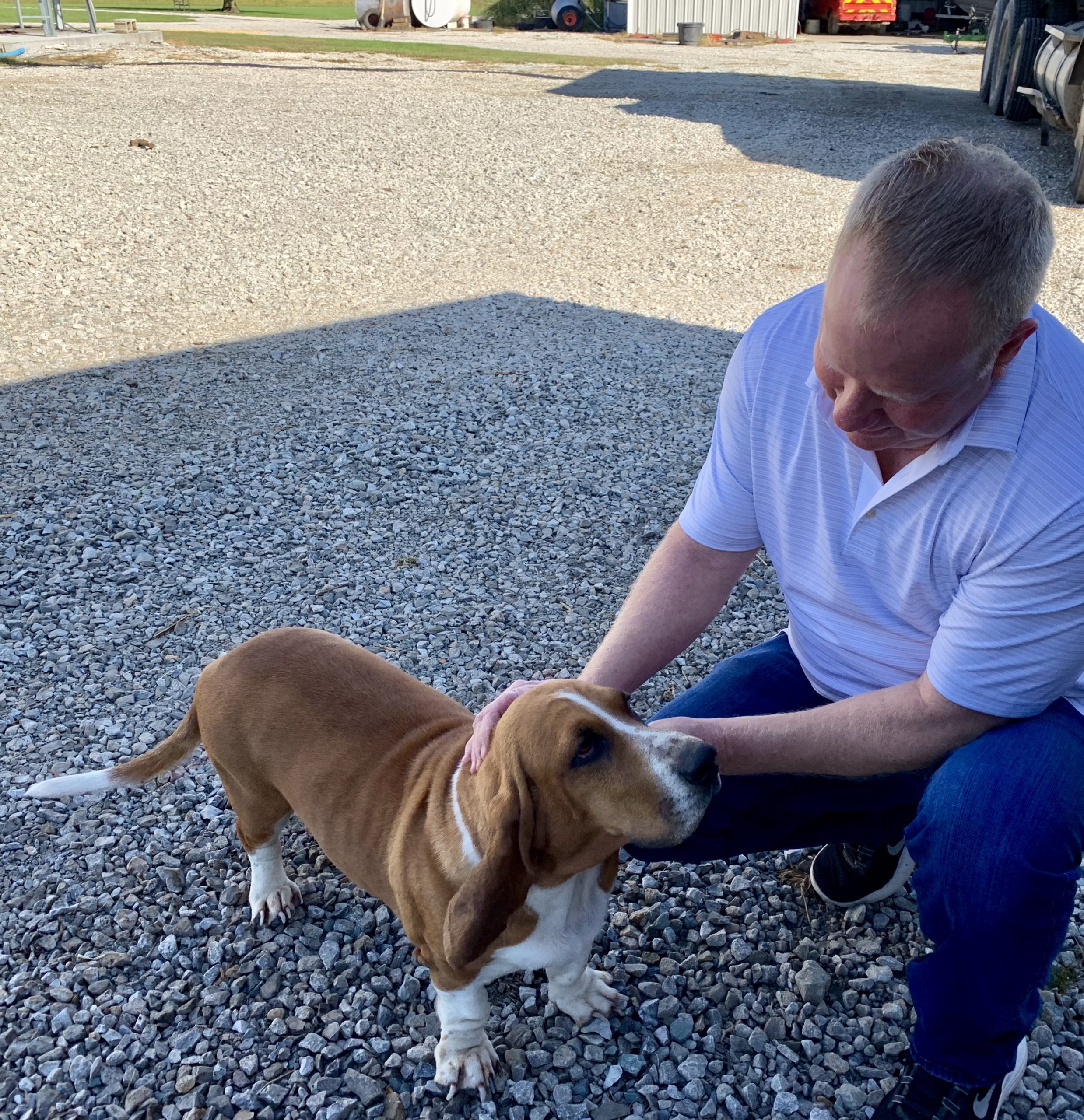 Frank Mineo Jr petting one of Megan's adult dogs