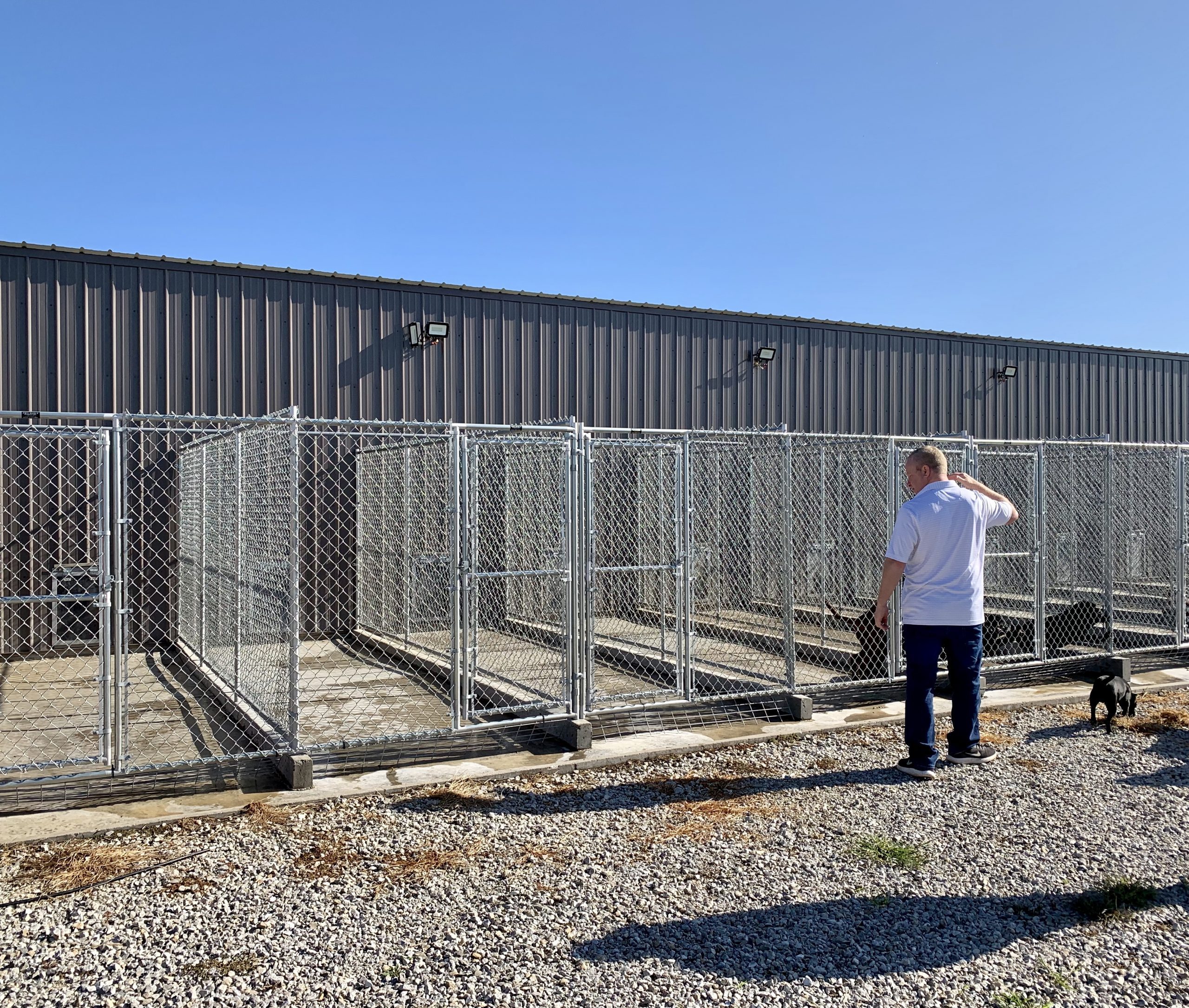 A view of Megan's kennel