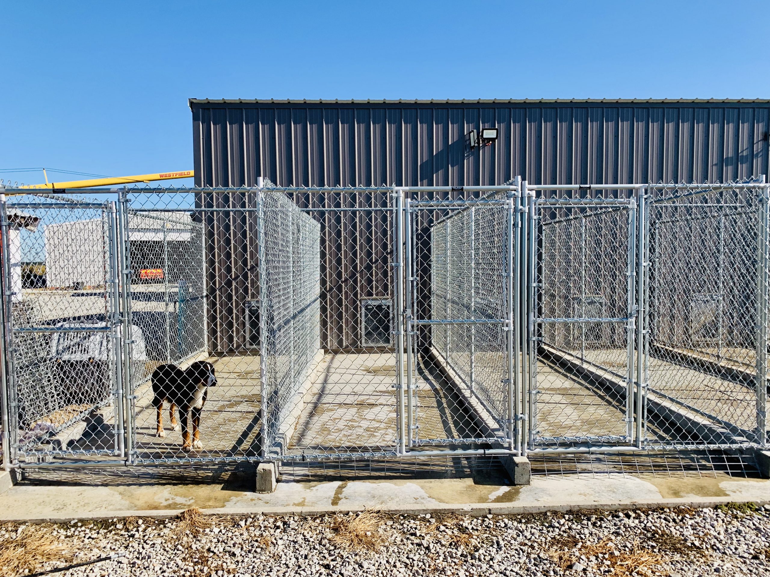 A view of Megan's kennel