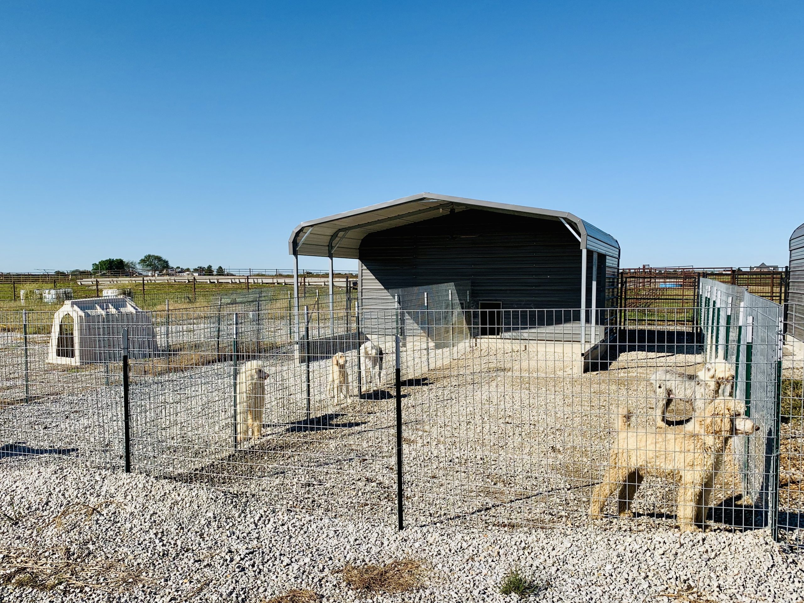 A view of Megan's kennel