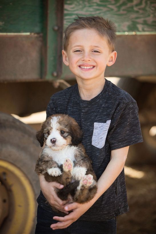 One of  Megan's kids holding a puppy