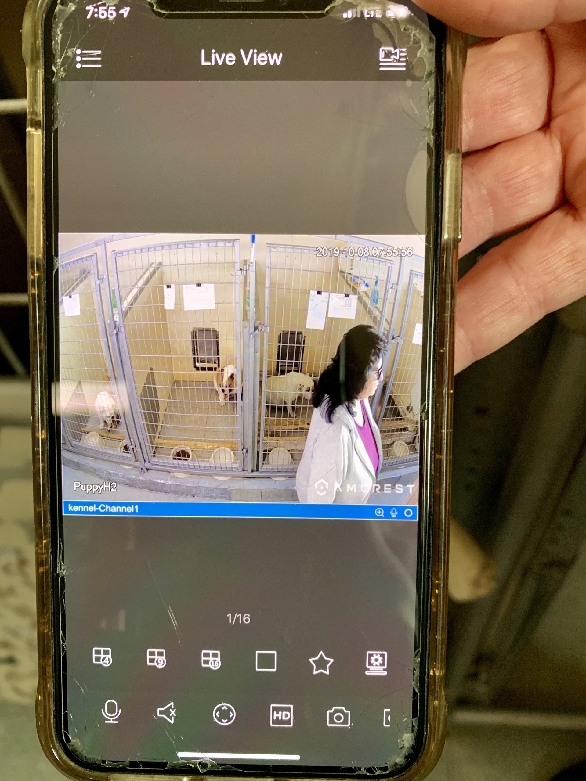 Kim has cameras set up in her kennel so she can monitor the mothers and puppies continuously