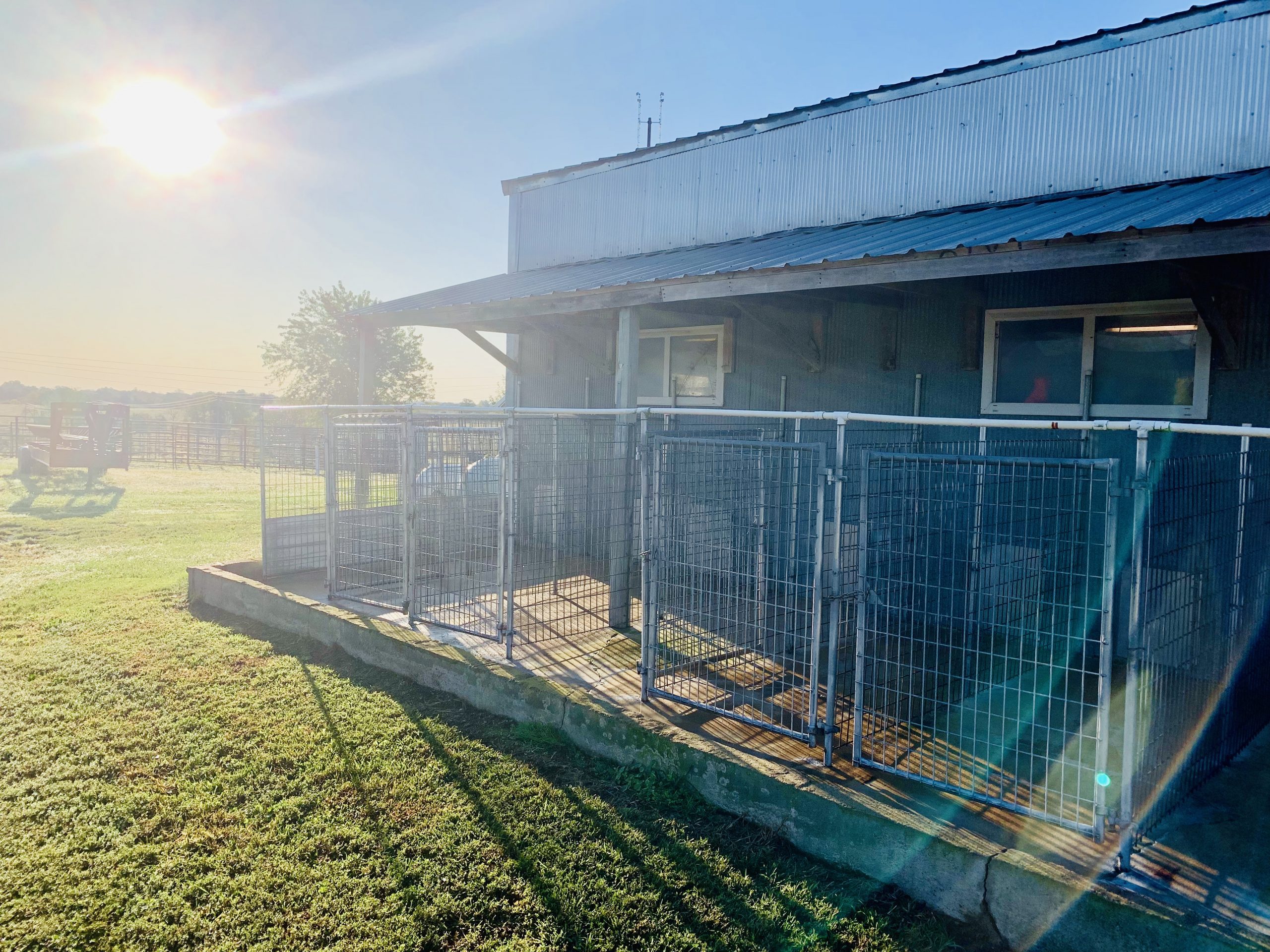 View of Kim's kennel