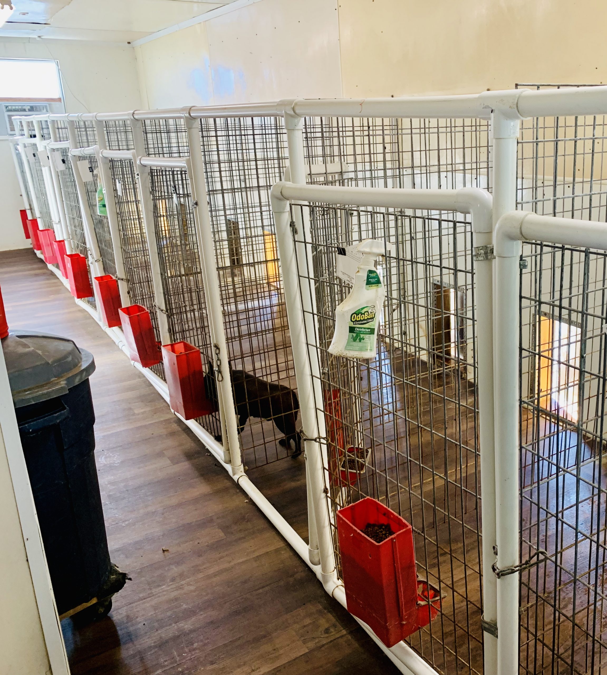 Interior view of Kim's kennel