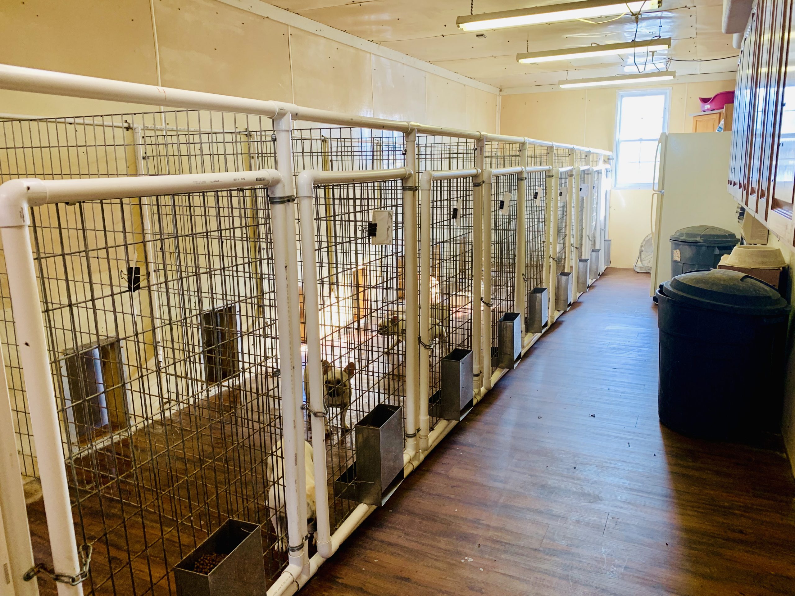 Interior view of Kim's kennel